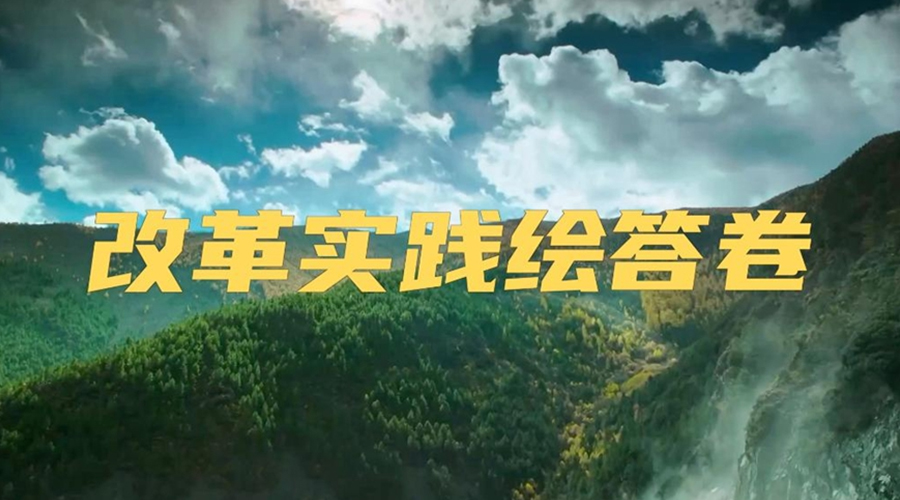 微視頻丨改革實踐繪答卷